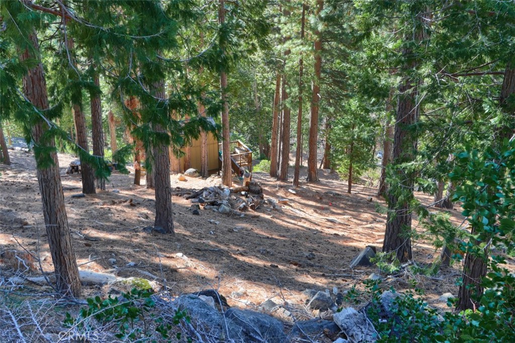 7349 & 7473 Yosemite Park Way Property Photo 21