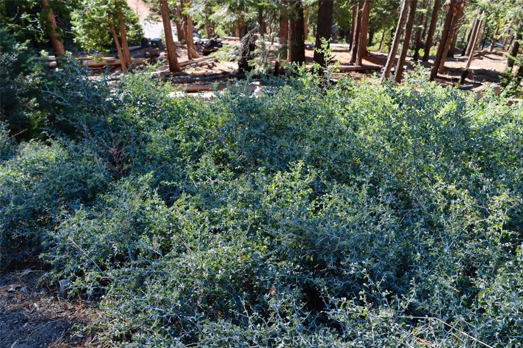 7349 & 7473 Yosemite Park Way Property Photo 24