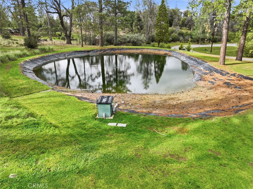 38076 Pine Meadow Property Photo 46