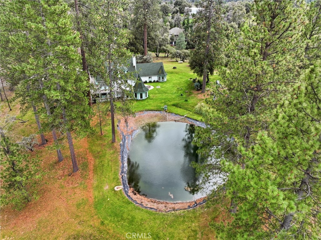 38076 Pine Meadow Property Photo 47