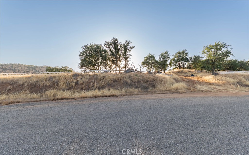 16295 Wrangler Drive Property Photo 1