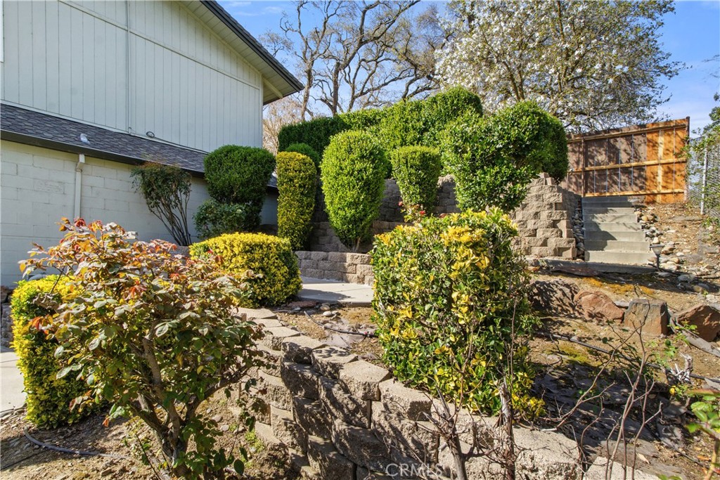 12030 Rodden Property Photo 54