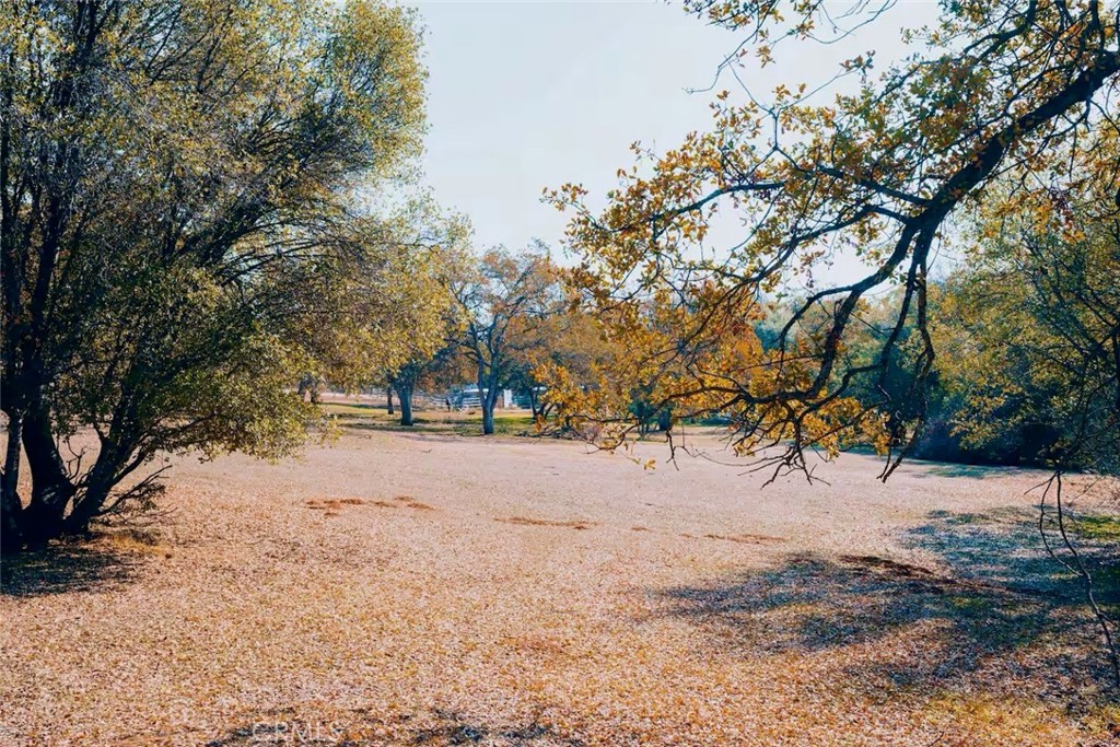 5615 Bear Trap Drive Property Photo 32