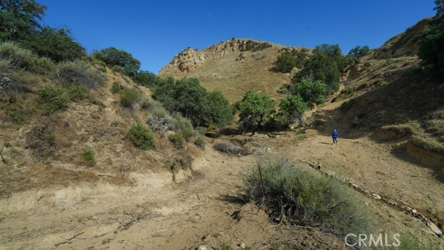 0 Hwy 198 Property Photo 29