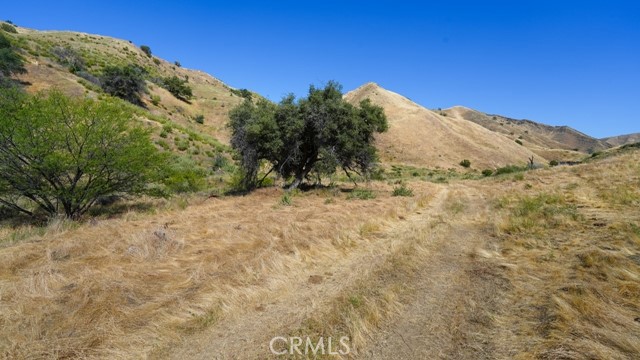 0 Hwy 198 Property Photo 33