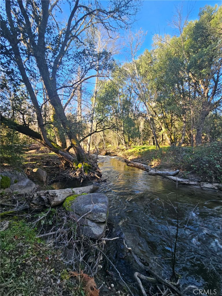 8 Ac Road 225 Property Photo 1