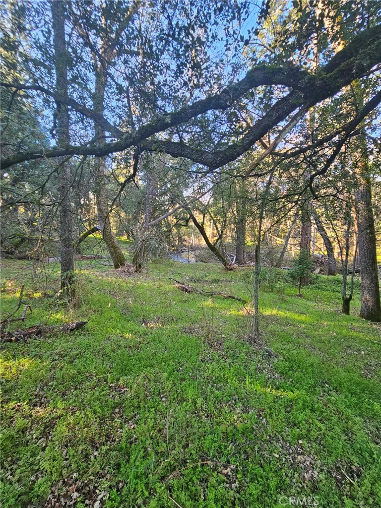 8 Ac Road 225 Property Photo 2