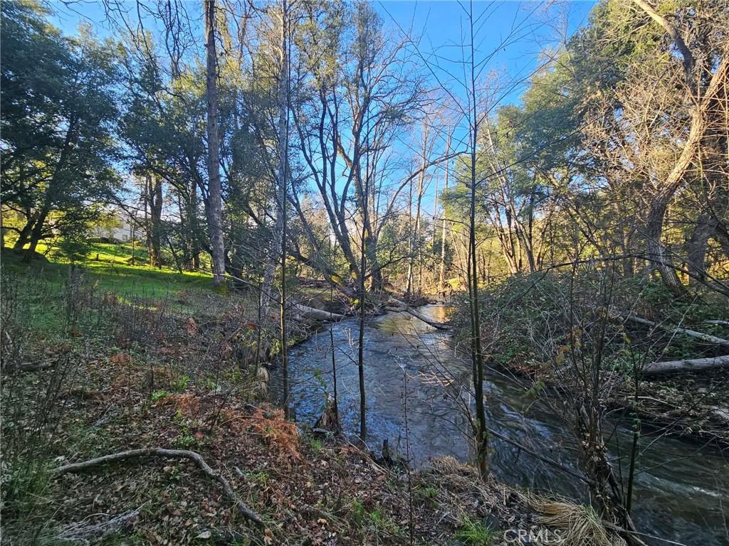 8 Ac Road 225 Property Photo 3