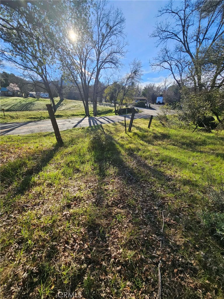 8 Ac Road 225 Property Photo 4