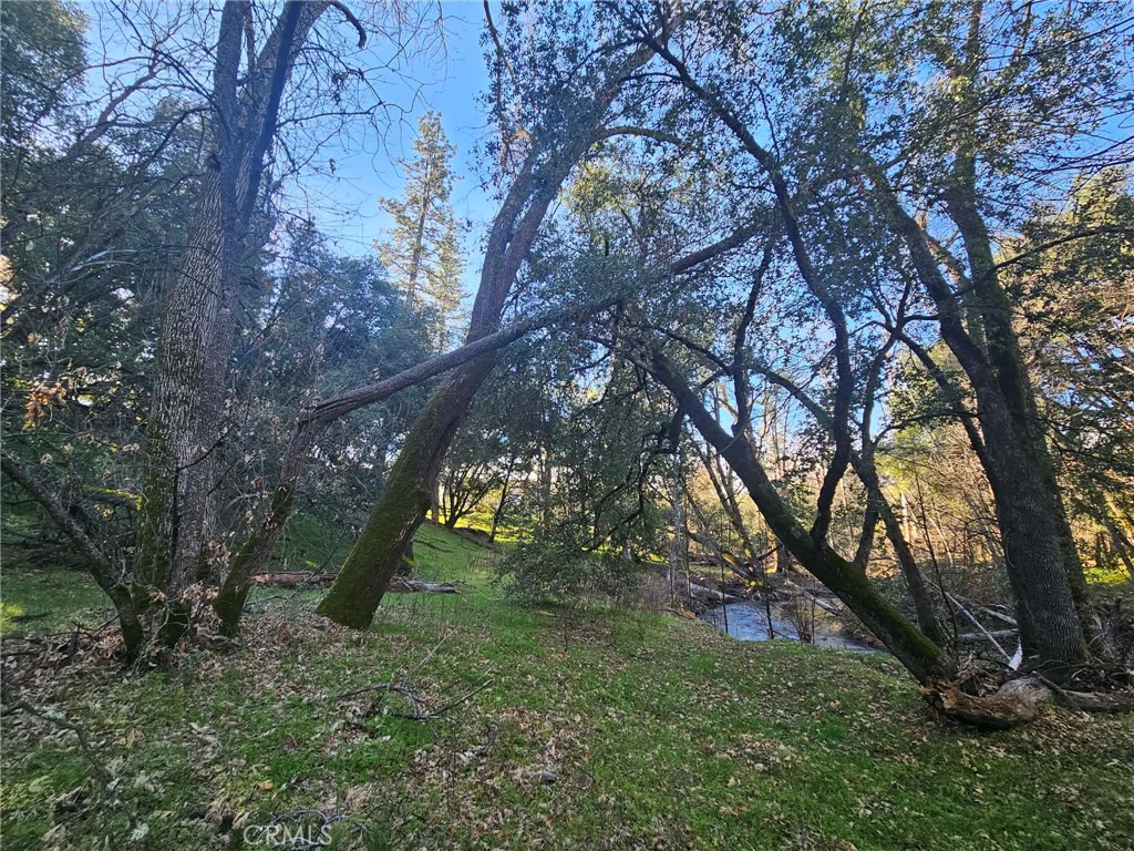 8 Ac Road 225 Property Photo 5