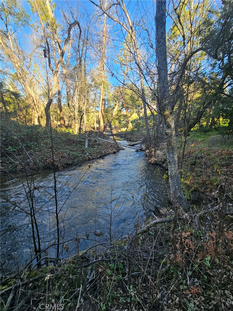 8 Ac Road 225 Property Photo 6