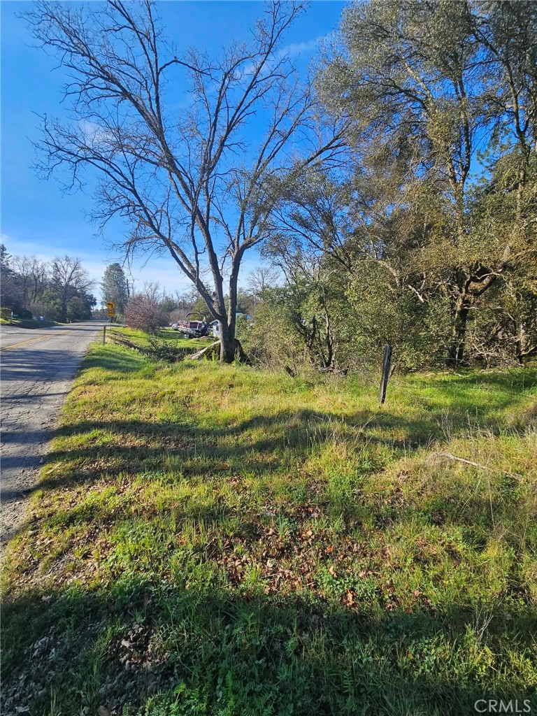 8 Ac Road 225 Property Photo 7