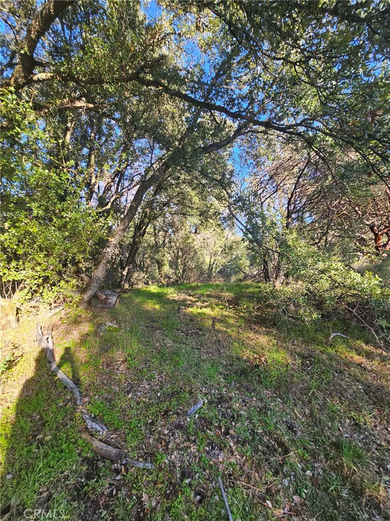 8 Ac Road 225 Property Photo 8