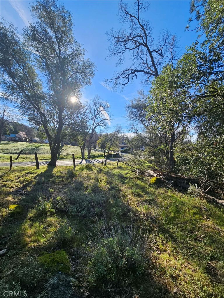 8 Ac Road 225 Property Photo 9