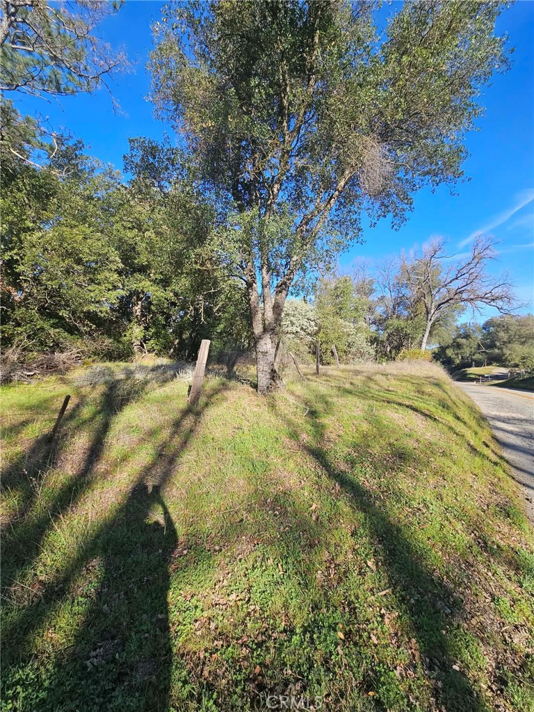 8 Ac Road 225 Property Photo 10