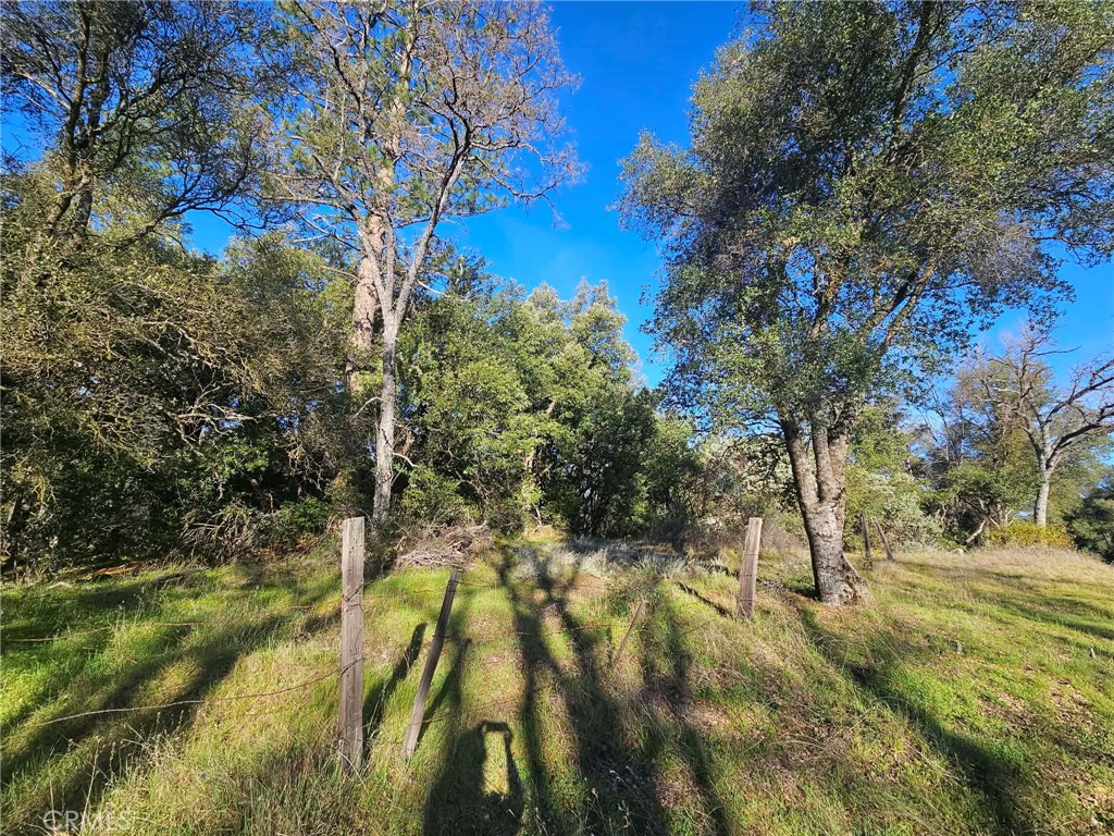 8 Ac Road 225 Property Photo 11