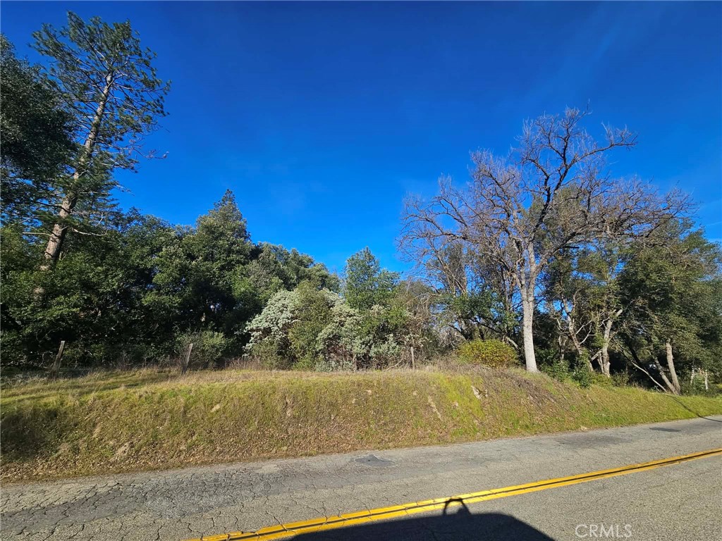 8 Ac Road 225 Property Photo 12