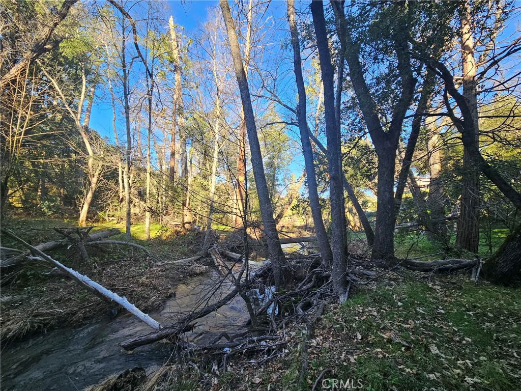 8 Ac Road 225 Property Photo 14