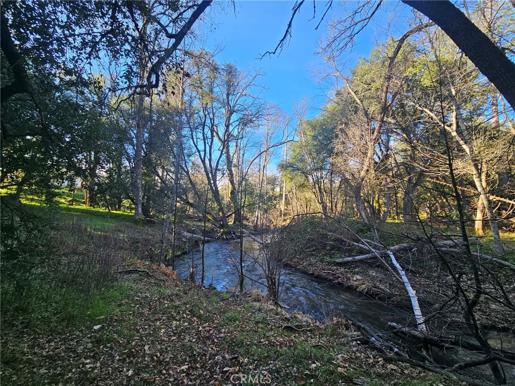 8 Ac Road 225 Property Photo 15