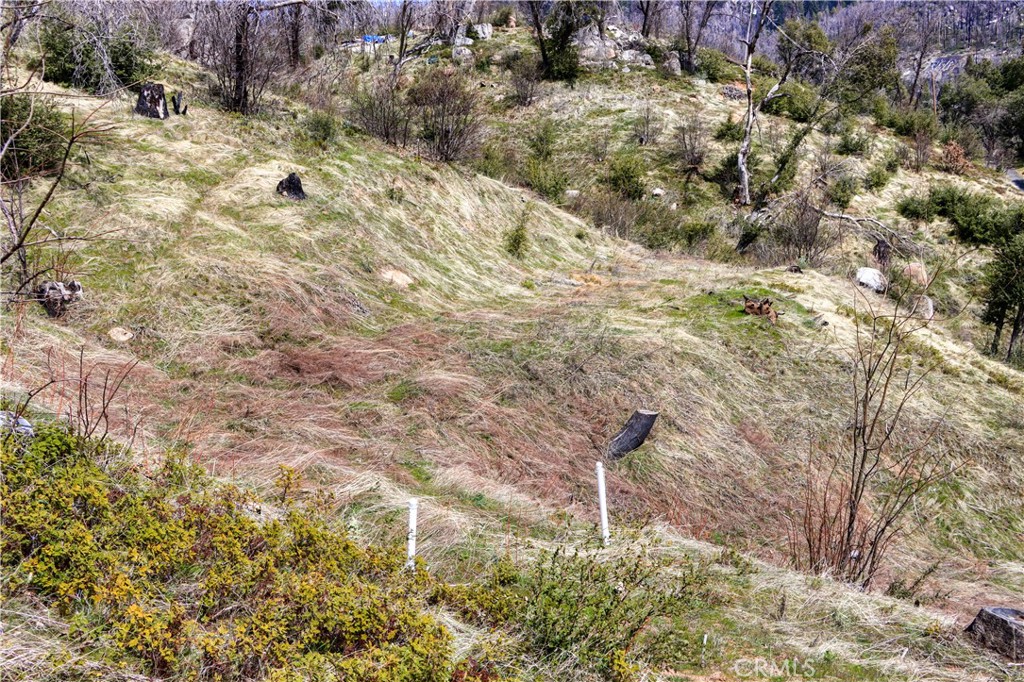 59827 Hillcrest Road Property Photo 22