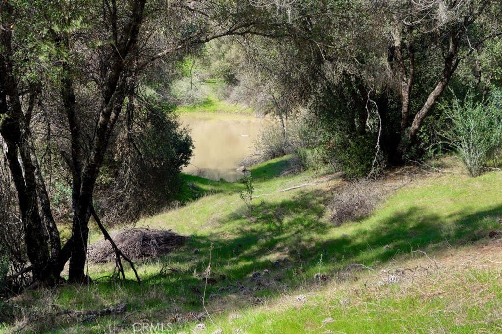 0 6.23 Ac Knickerbocker Property Photo 4