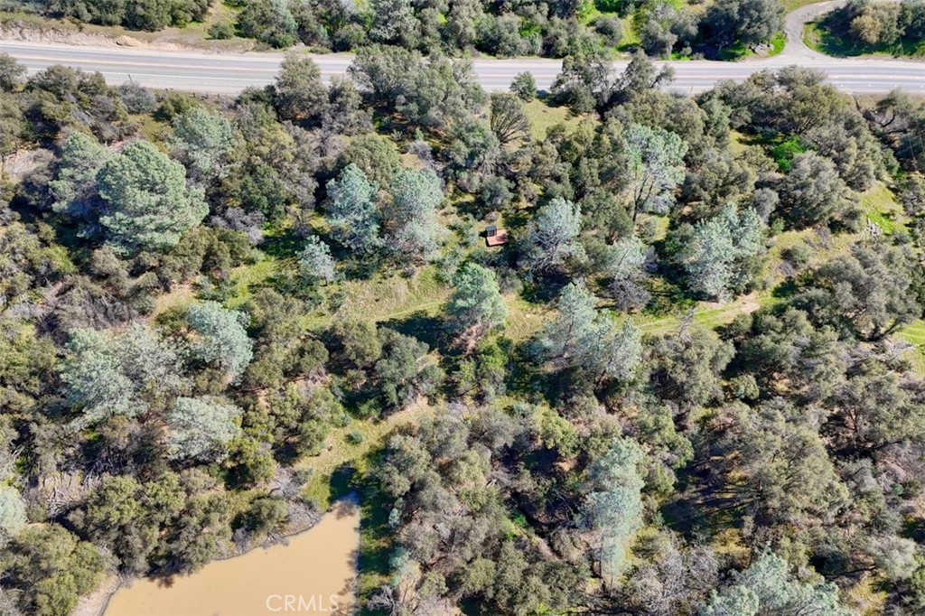 0 6.23 Ac Knickerbocker Property Photo 6