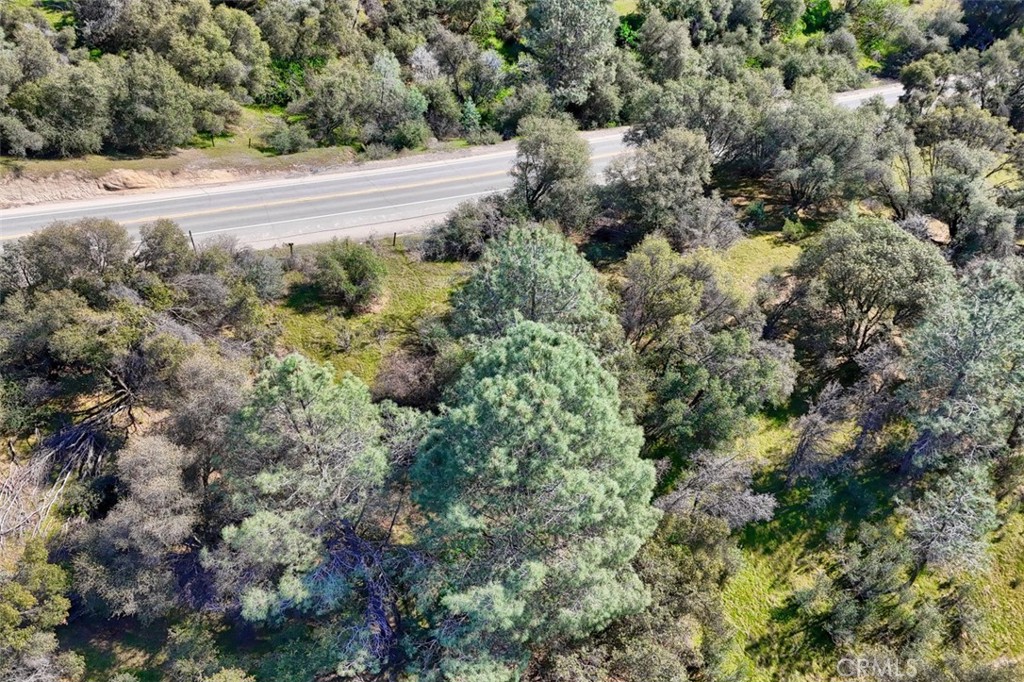 0 6.23 Ac Knickerbocker Property Photo 8