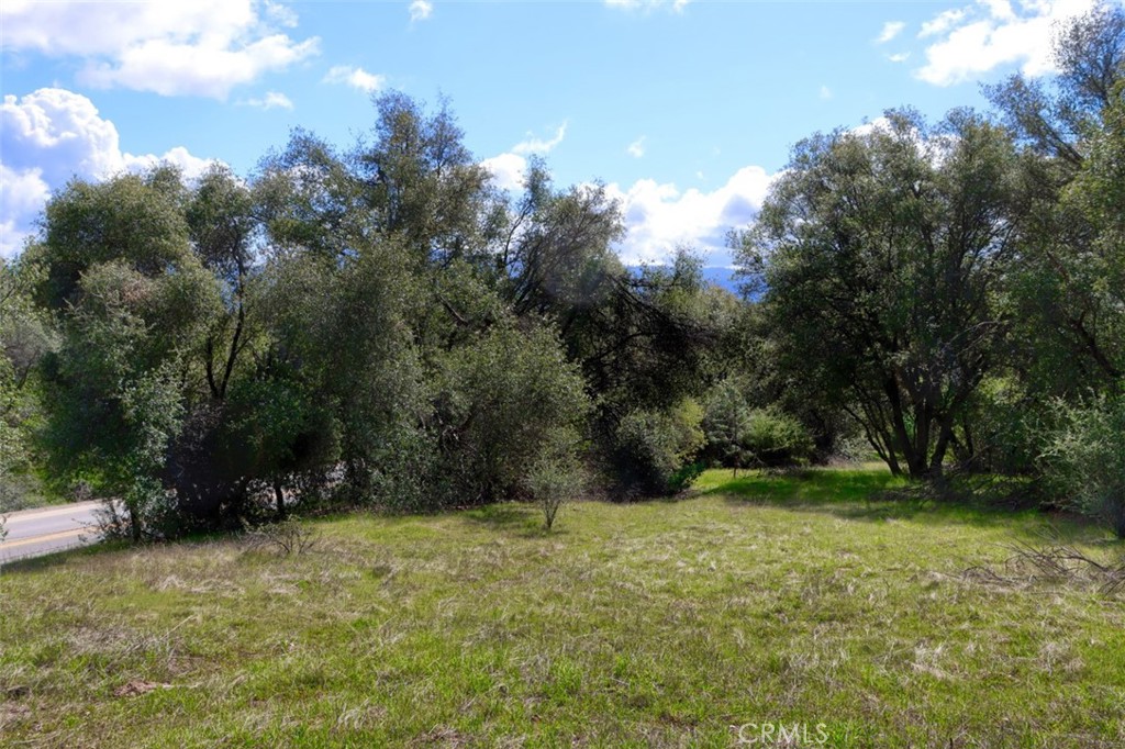 0 6.23 Ac Knickerbocker Property Photo 9