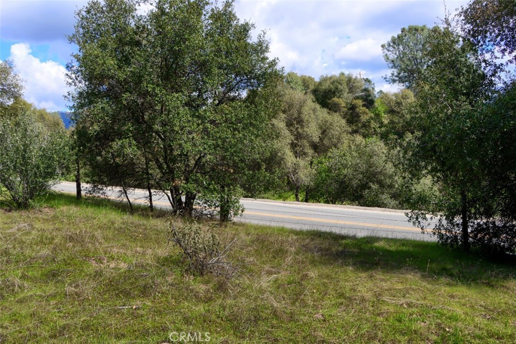 0 6.23 Ac Knickerbocker Property Photo 10