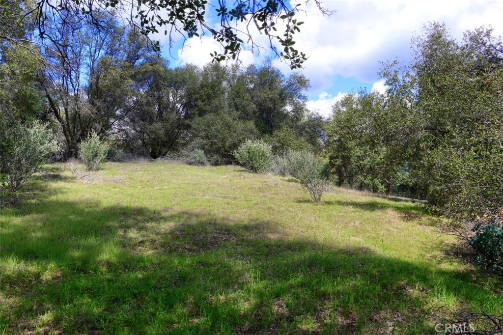 0 6.23 Ac Knickerbocker Property Photo 11