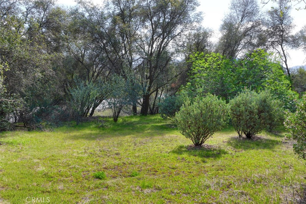0 6.23 Ac Knickerbocker Property Photo 12