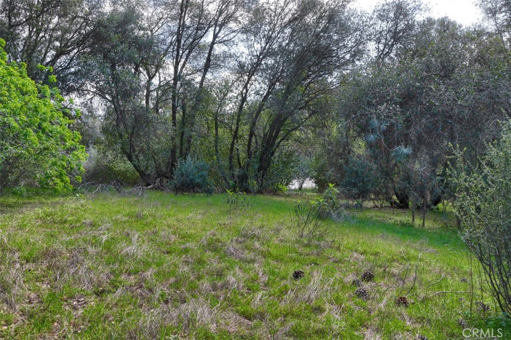 0 6.23 Ac Knickerbocker Property Photo 13