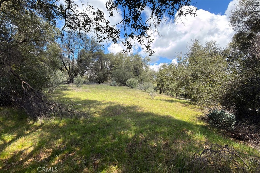 0 6.23 Ac Knickerbocker Property Photo 14