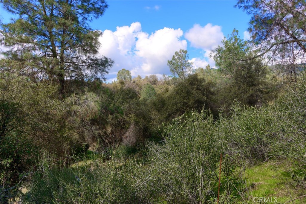 0 6.23 Ac Knickerbocker Property Photo 15