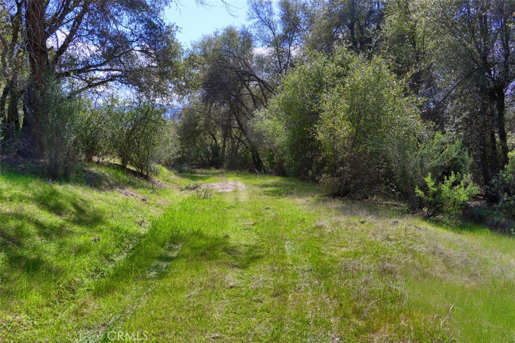 0 6.23 Ac Knickerbocker Property Photo 23