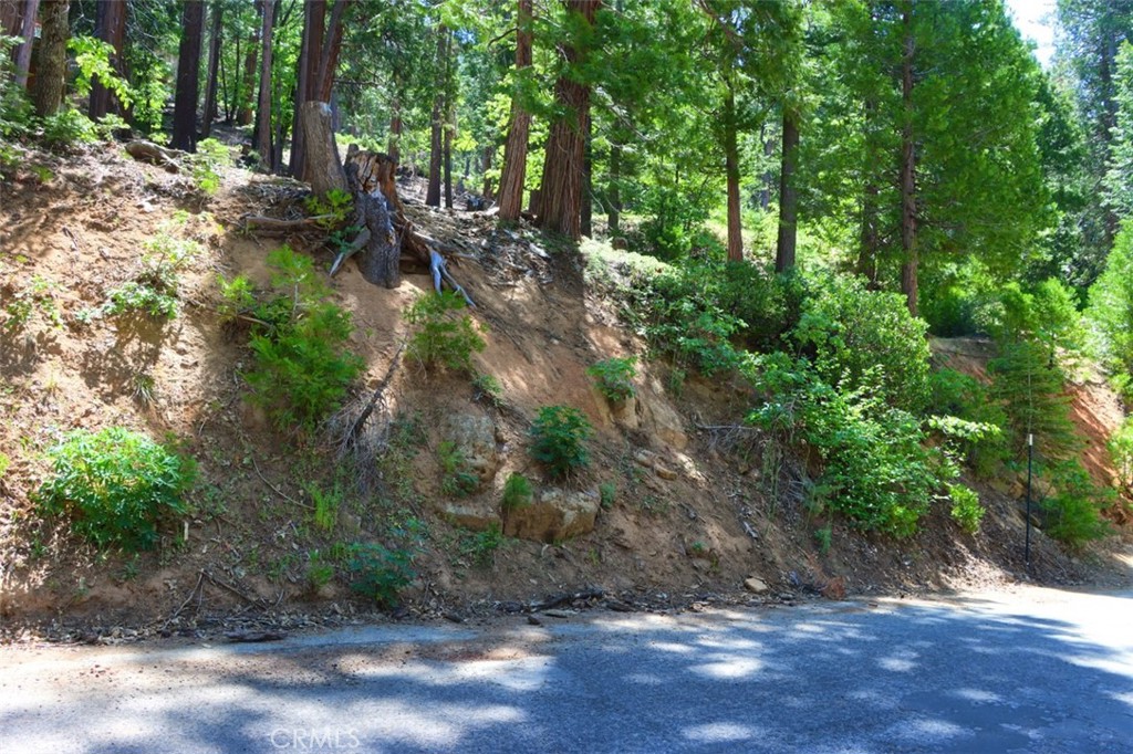 7220 Yosemite Park Way Property Photo 6