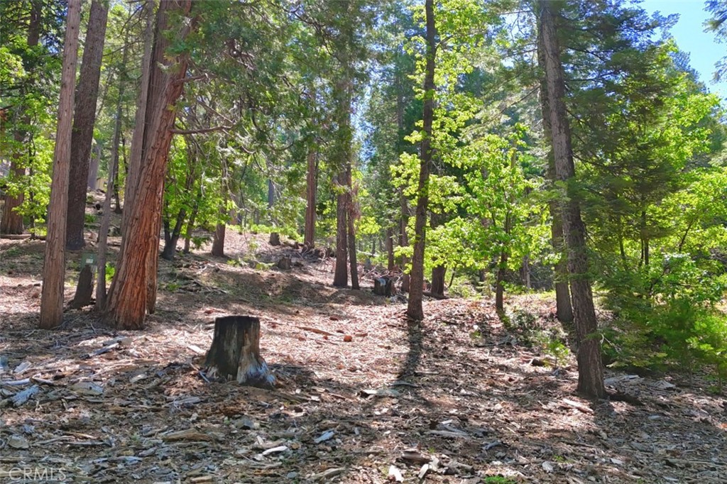 7220 Yosemite Park Way Property Photo 9