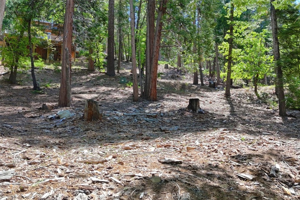 7220 Yosemite Park Way Property Photo 13