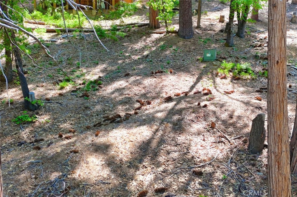 7220 Yosemite Park Way Property Photo 15