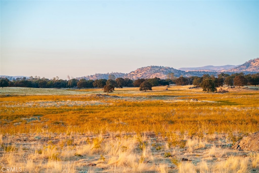 2553 Old Highway Property Photo 3