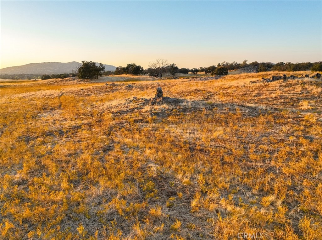 2553 Old Highway Property Photo 16