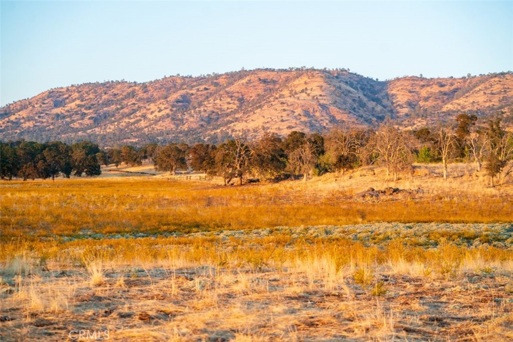 2553 Old Highway Property Photo 32