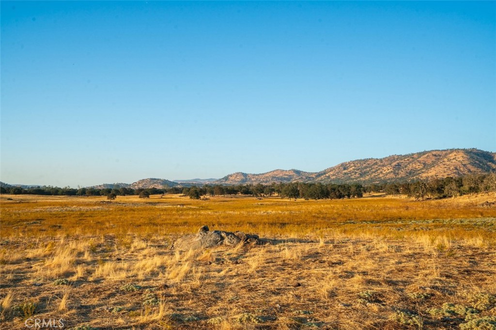2553 Old Highway Property Photo 33