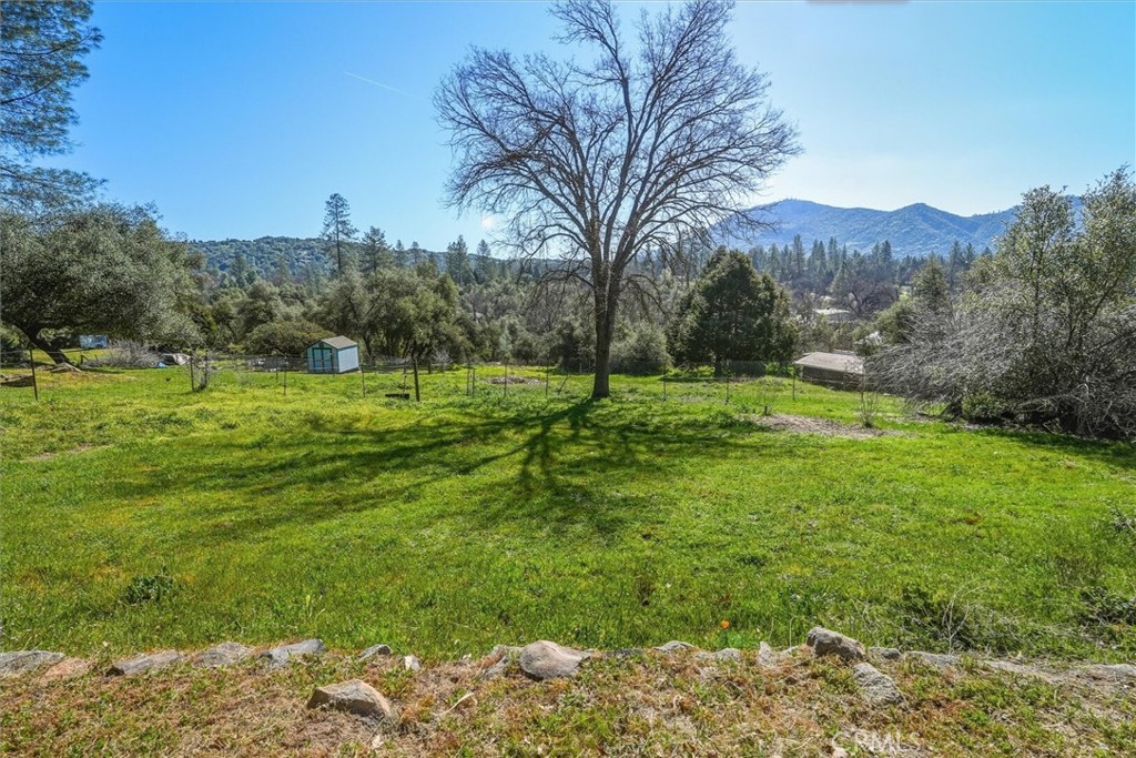 45430 Lauri Property Photo 42