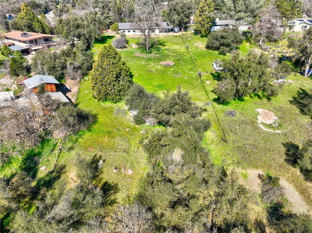 45430 Lauri Property Photo 47