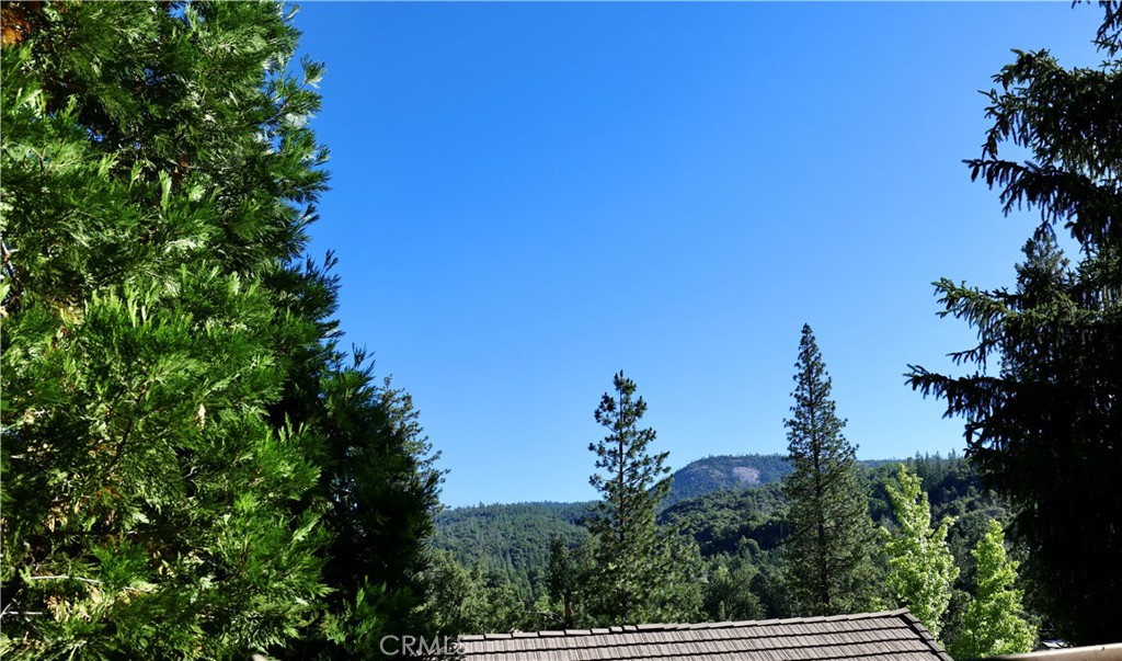40547 Saddleback Property Photo 4