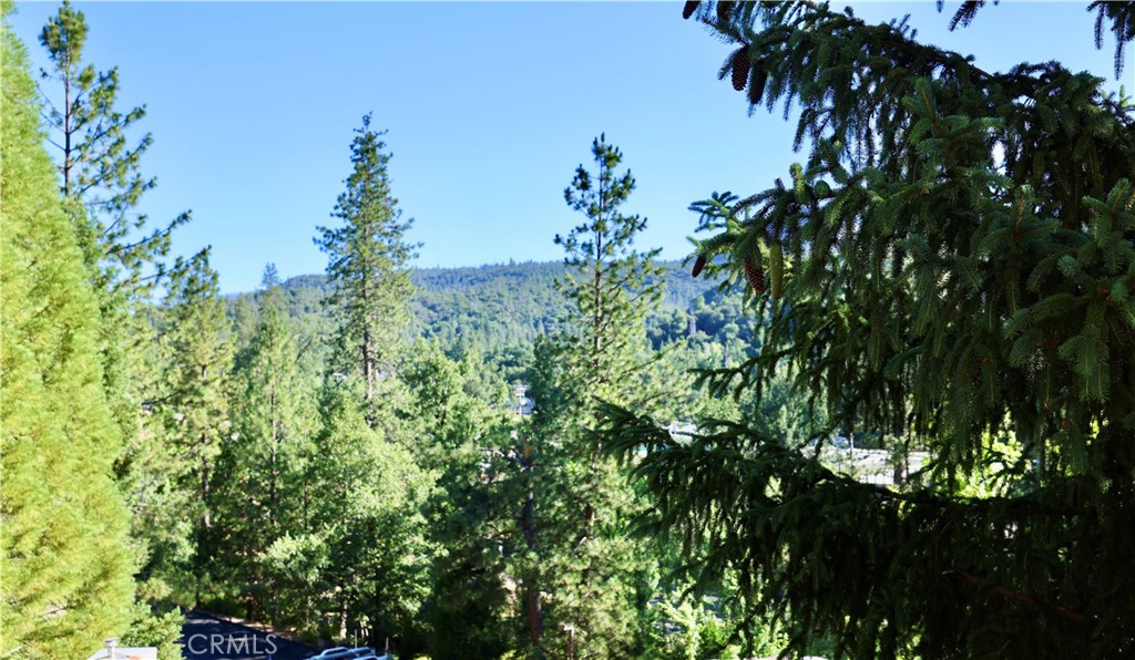 40547 Saddleback Property Photo 6