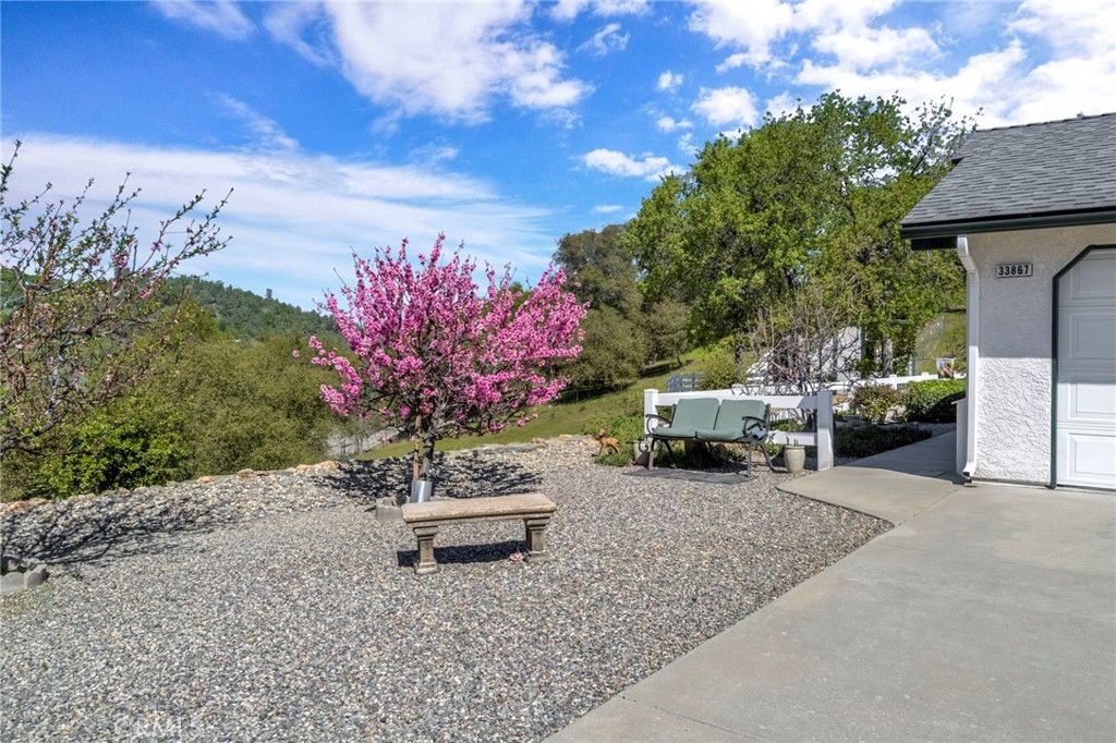 33867 Jennifer Court Property Photo 12