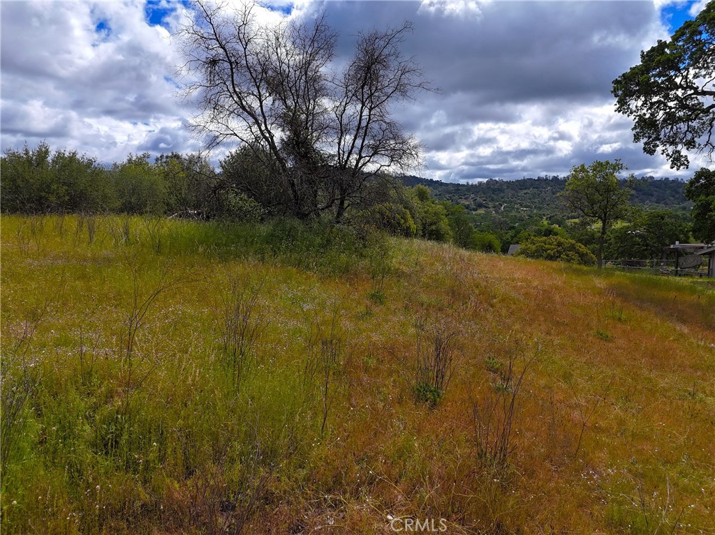 2098 Dome Property Photo 1