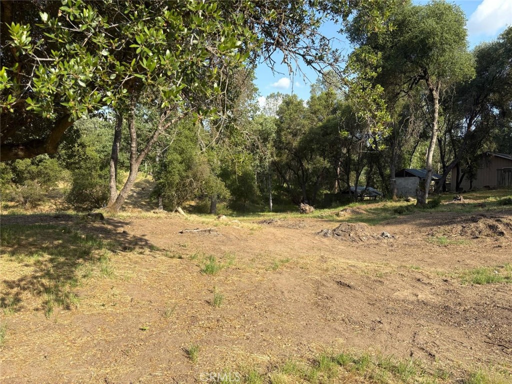 0 Chickasaw Road Property Photo 1